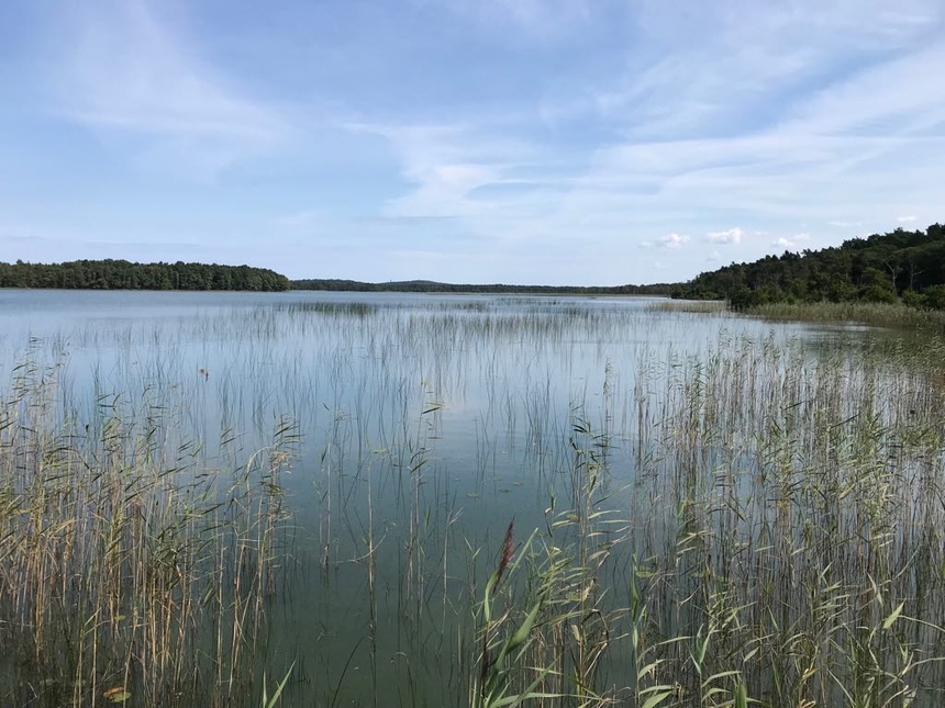 Jezioro Gardno, Słowiński Park Narodowy