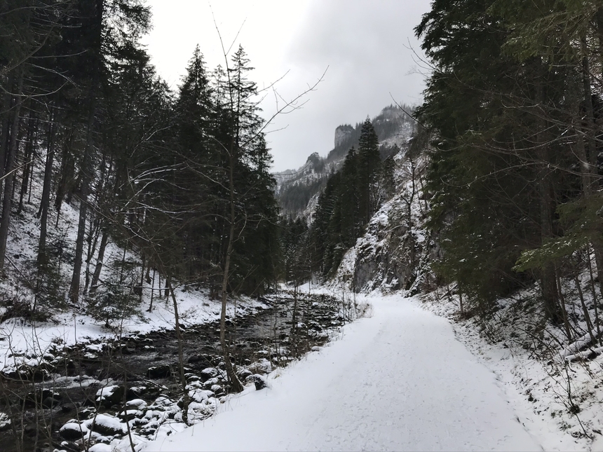 Dolina Kościeliska w zimowej scenerii